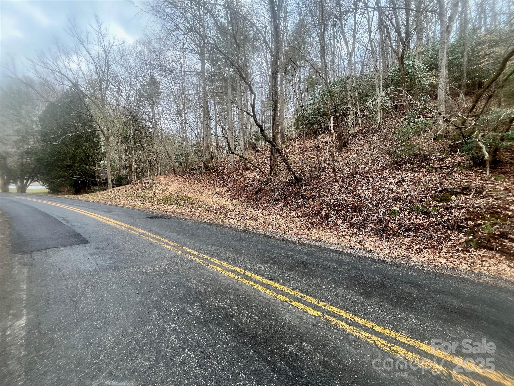 1927 Ammons Branch Road Marshall, NC 28753 - Photo 21 of 28