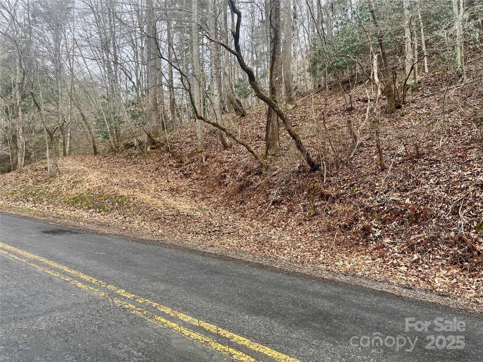 1927 Ammons Branch Road Marshall, NC 28753 - Photo 22 of 28