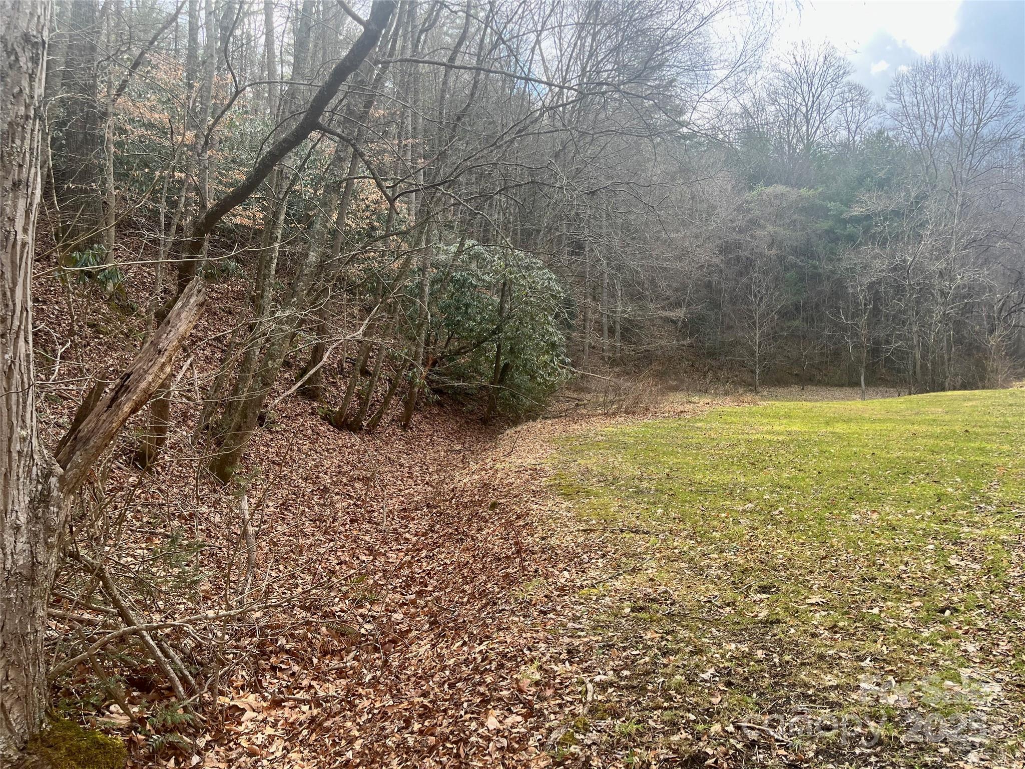 1927 Ammons Branch Road Marshall, NC 28753 - Photo 24 of 28