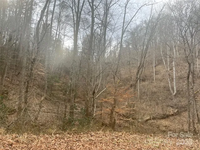 $720,000 | 1927 Ammons Branch Road, Marshall, NC 28753