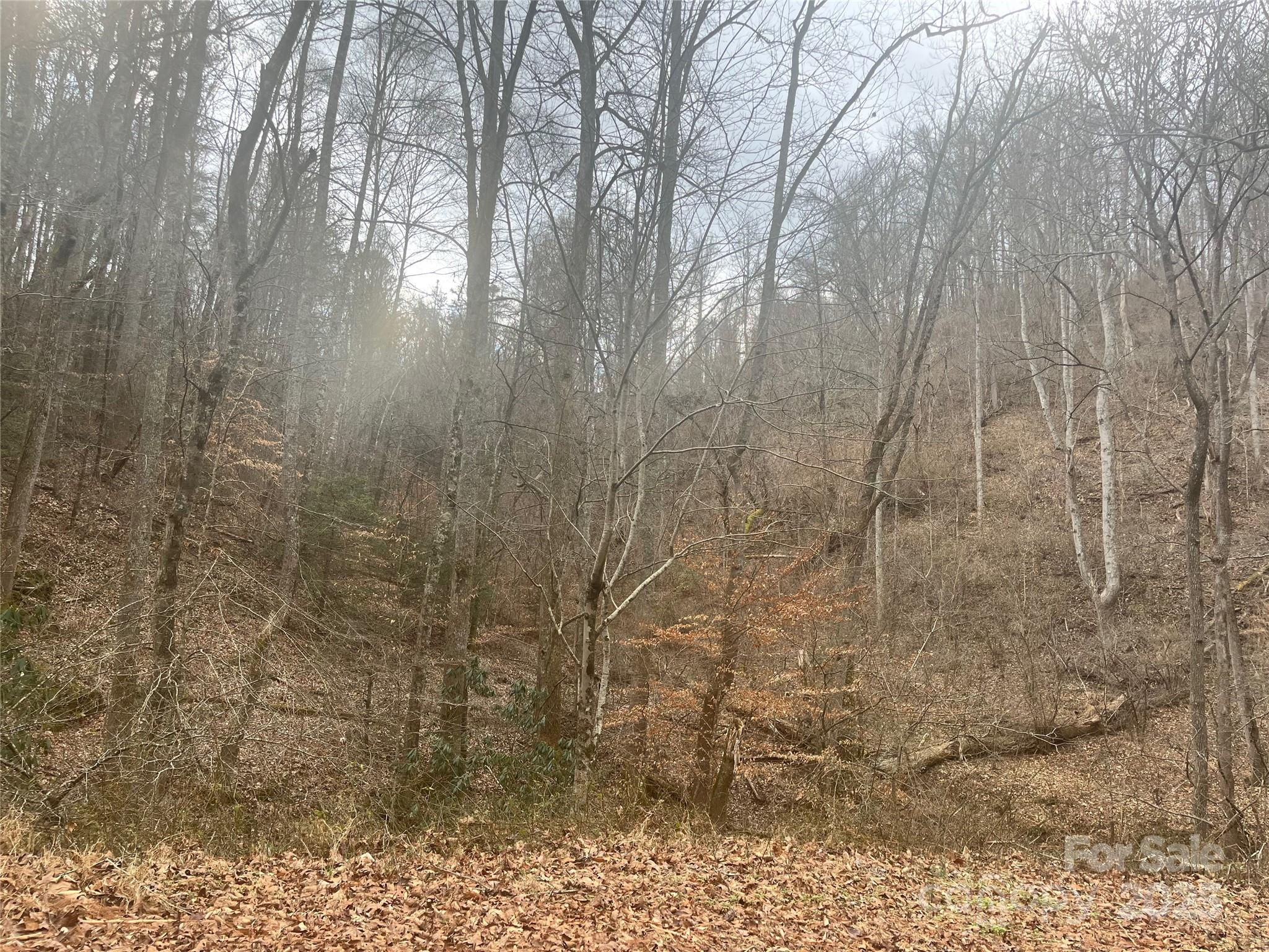 1927 Ammons Branch Road Marshall, NC 28753 - Photo 28 of 28