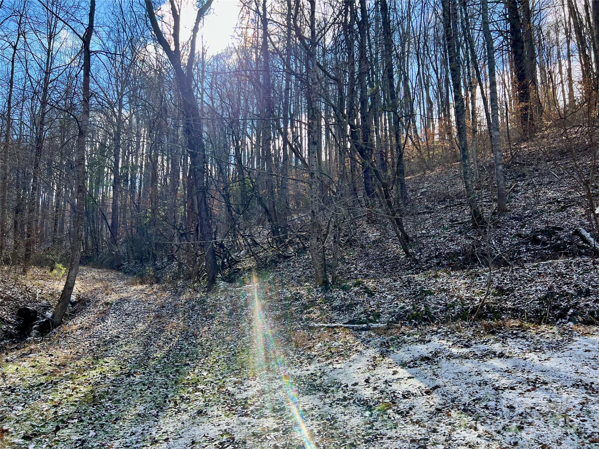 1927 Ammons Branch Road Marshall, NC 28753 - Photo 4 of 28