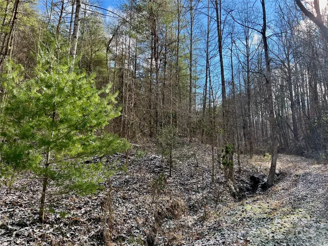 $720,000 | 1927 Ammons Branch Road, Marshall, NC 28753