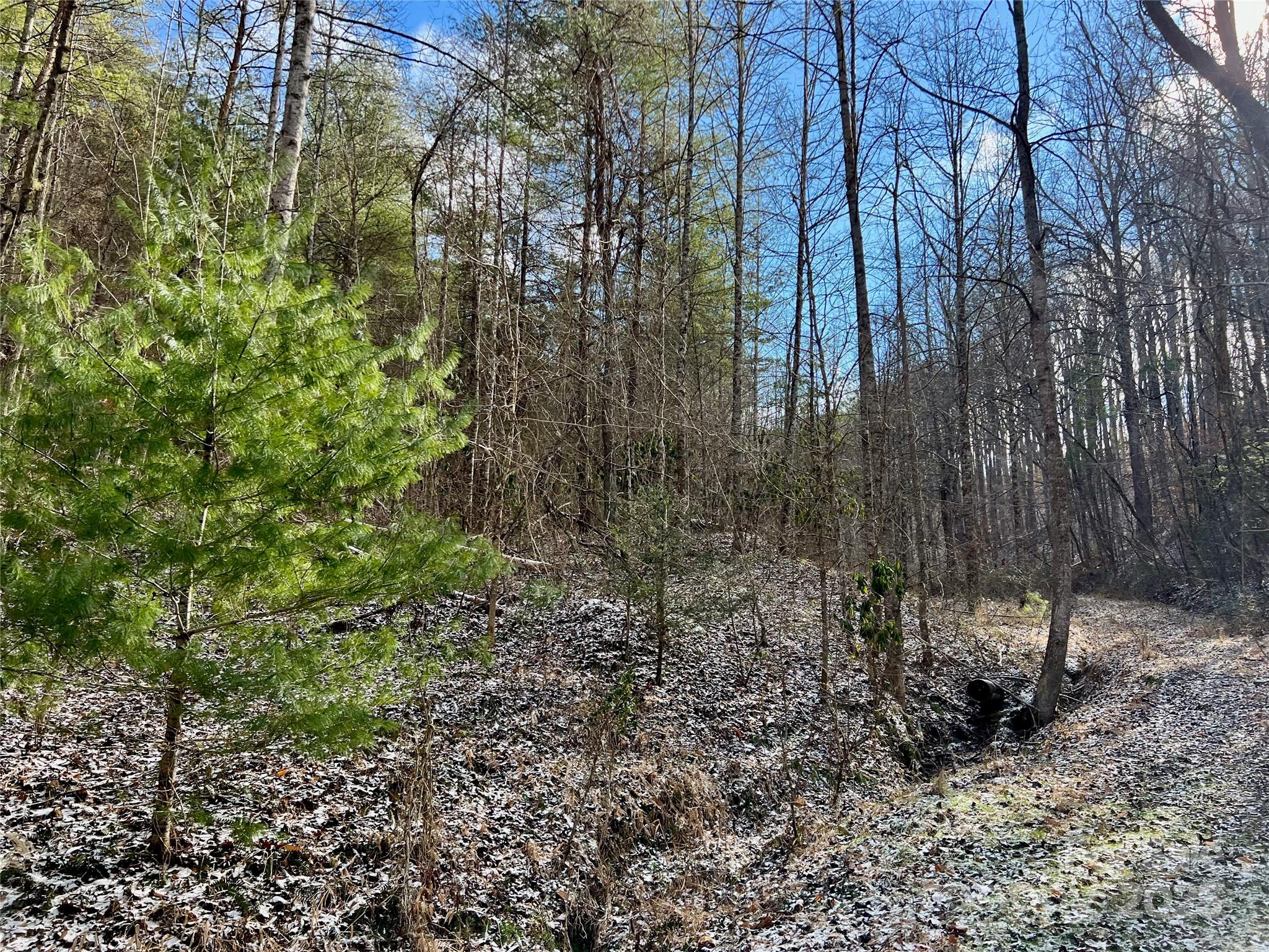 1927 Ammons Branch Road Marshall, NC 28753 - Photo 5 of 28