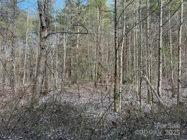 $720,000 | 1927 Ammons Branch Road, Marshall, NC 28753