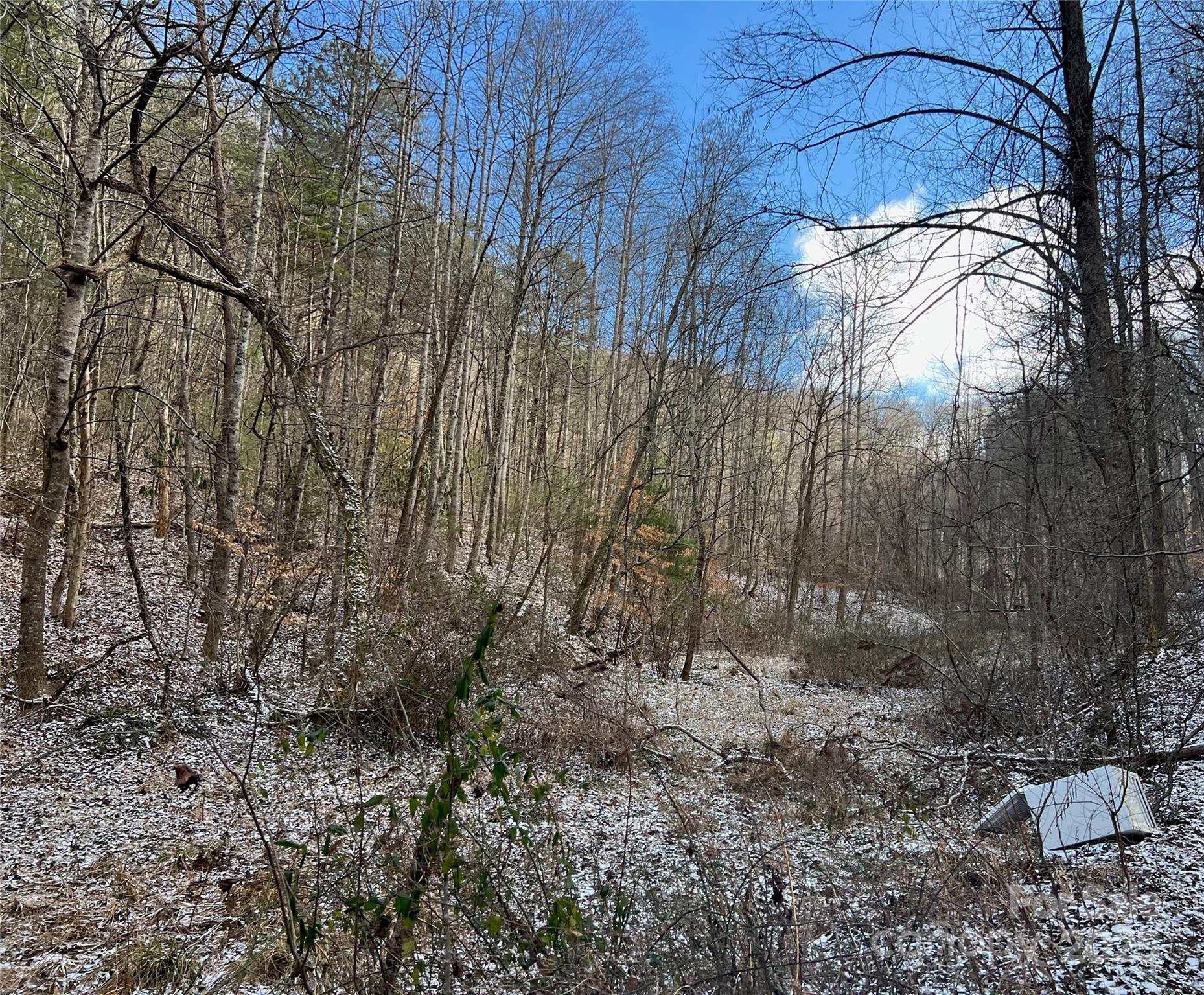 1927 Ammons Branch Road Marshall, NC 28753 - Photo 7 of 28