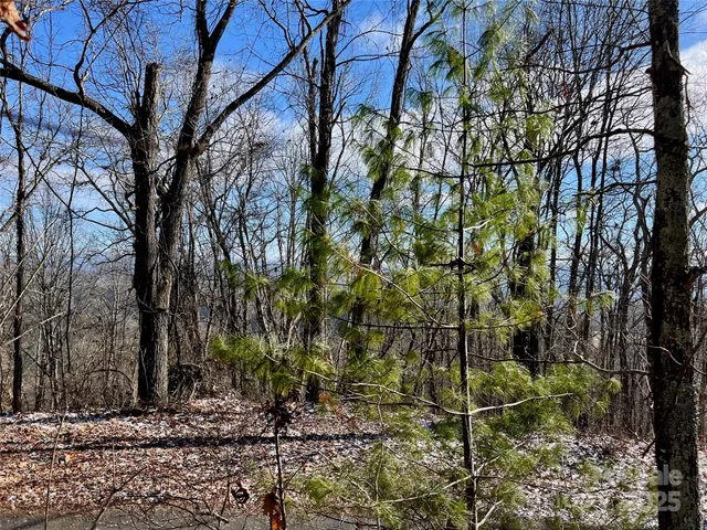 $720,000 | 1927 Ammons Branch Road, Marshall, NC 28753