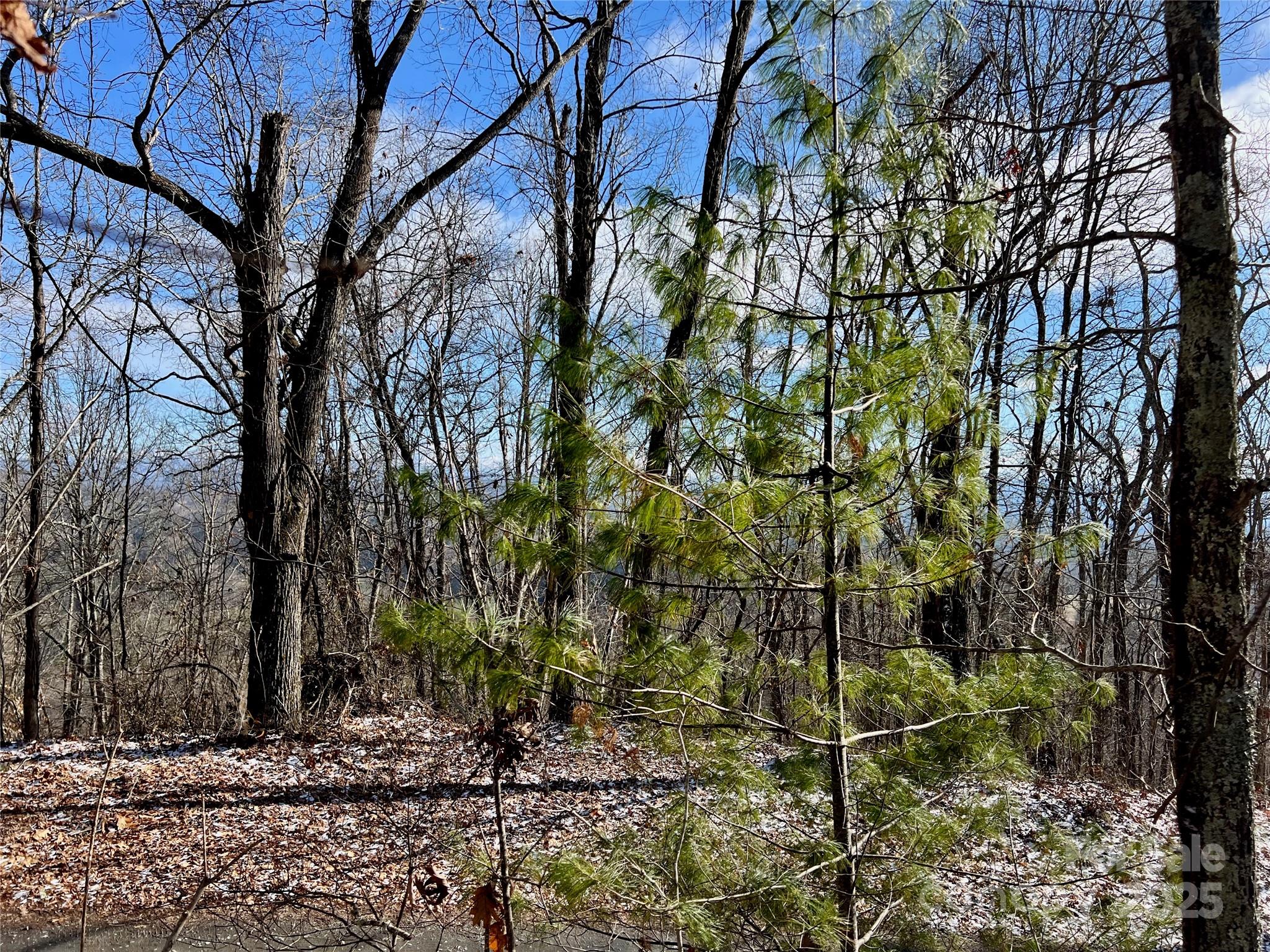 1927 Ammons Branch Road Marshall, NC 28753 - Photo 8 of 28