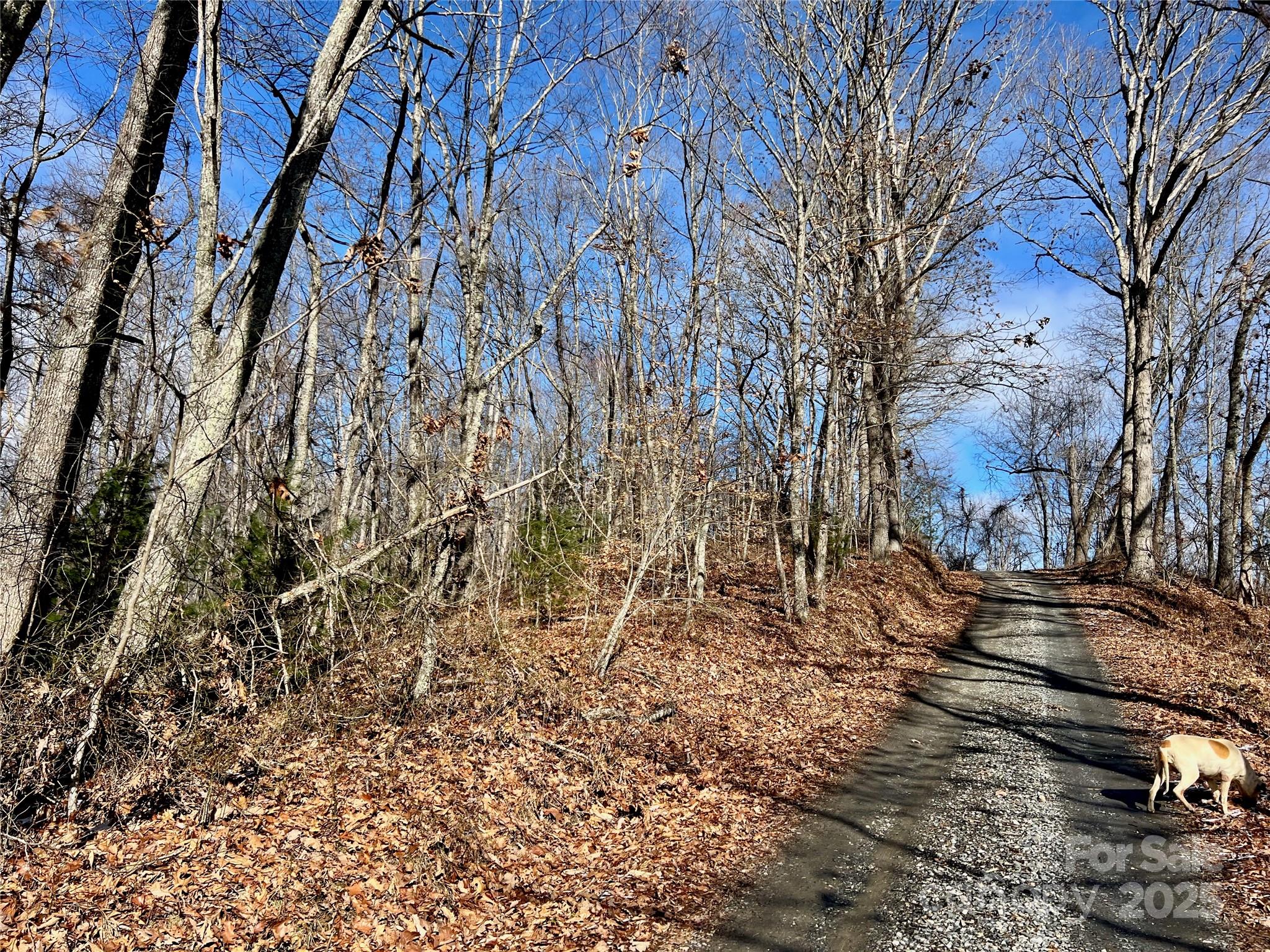 1927 Ammons Branch Road Marshall, NC 28753 - Photo 9 of 28