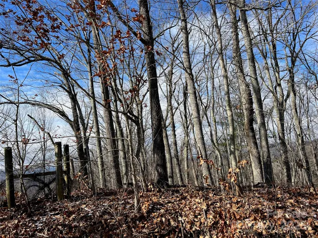 $720,000 | 1927 Ammons Branch Road, Marshall, NC 28753