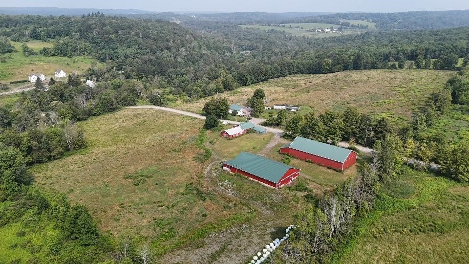 460 Stafford Road Oxford, NY 13830 - Photo 3 of 13