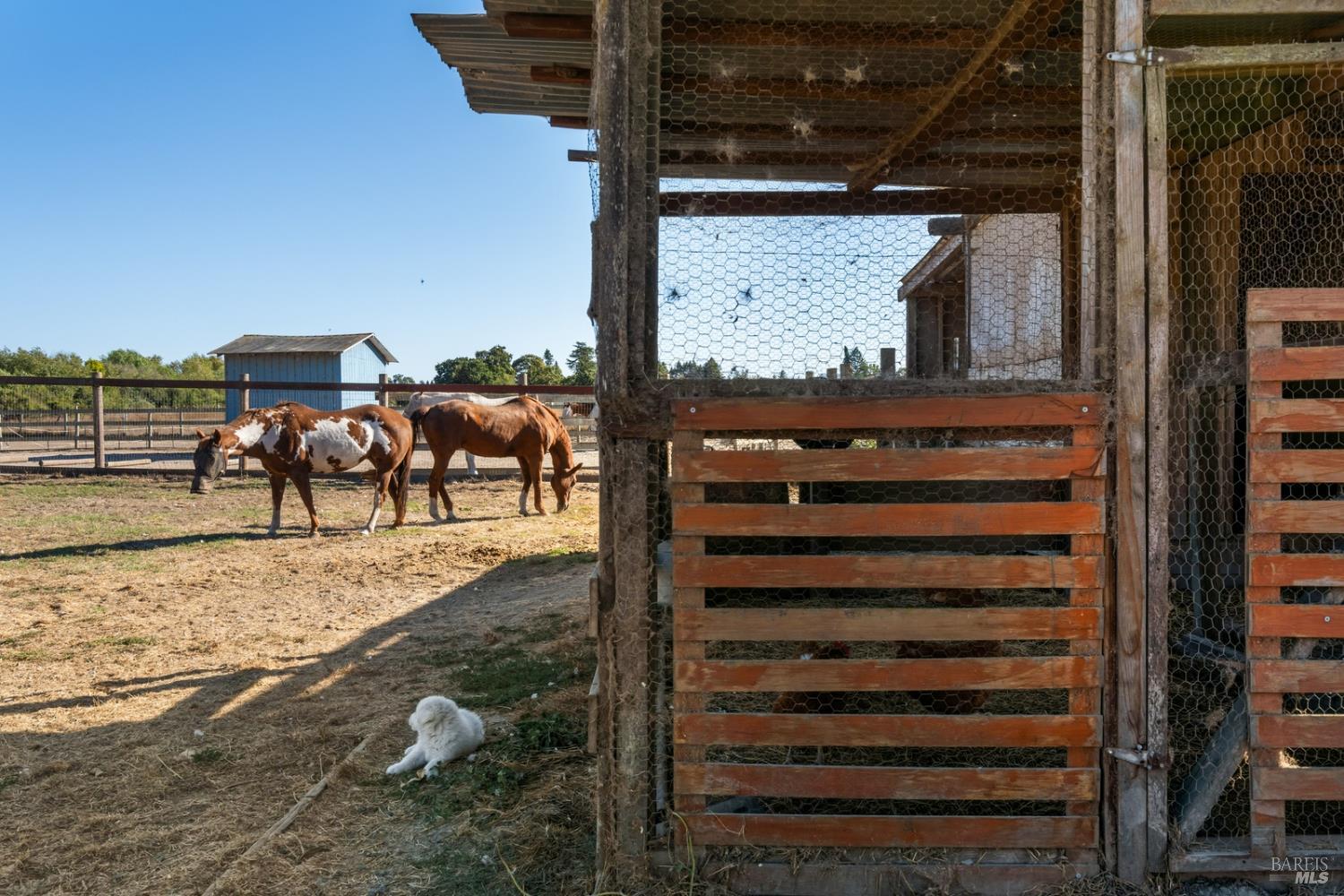 5111 Todd Road Sebastopol, CA 95472 - Photo 20 of 62