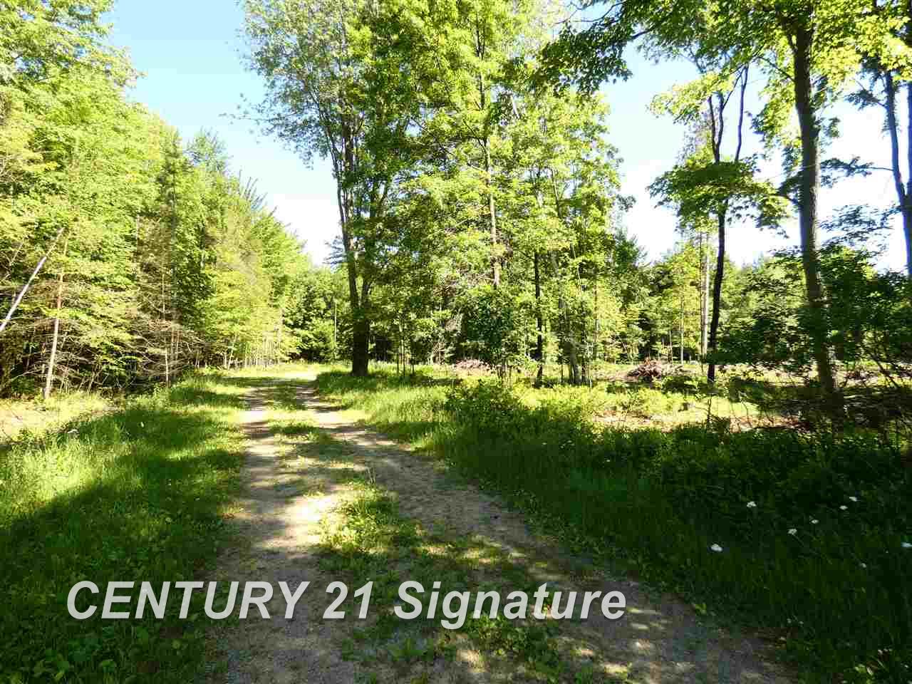 18045 West Schroeder Road Brant, MI 48614 - Photo 28 of 28