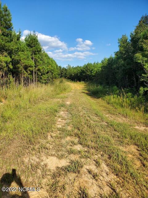 0 Rosindale Road Clarkton, NC 28433 - Photo 11 of 34 image8