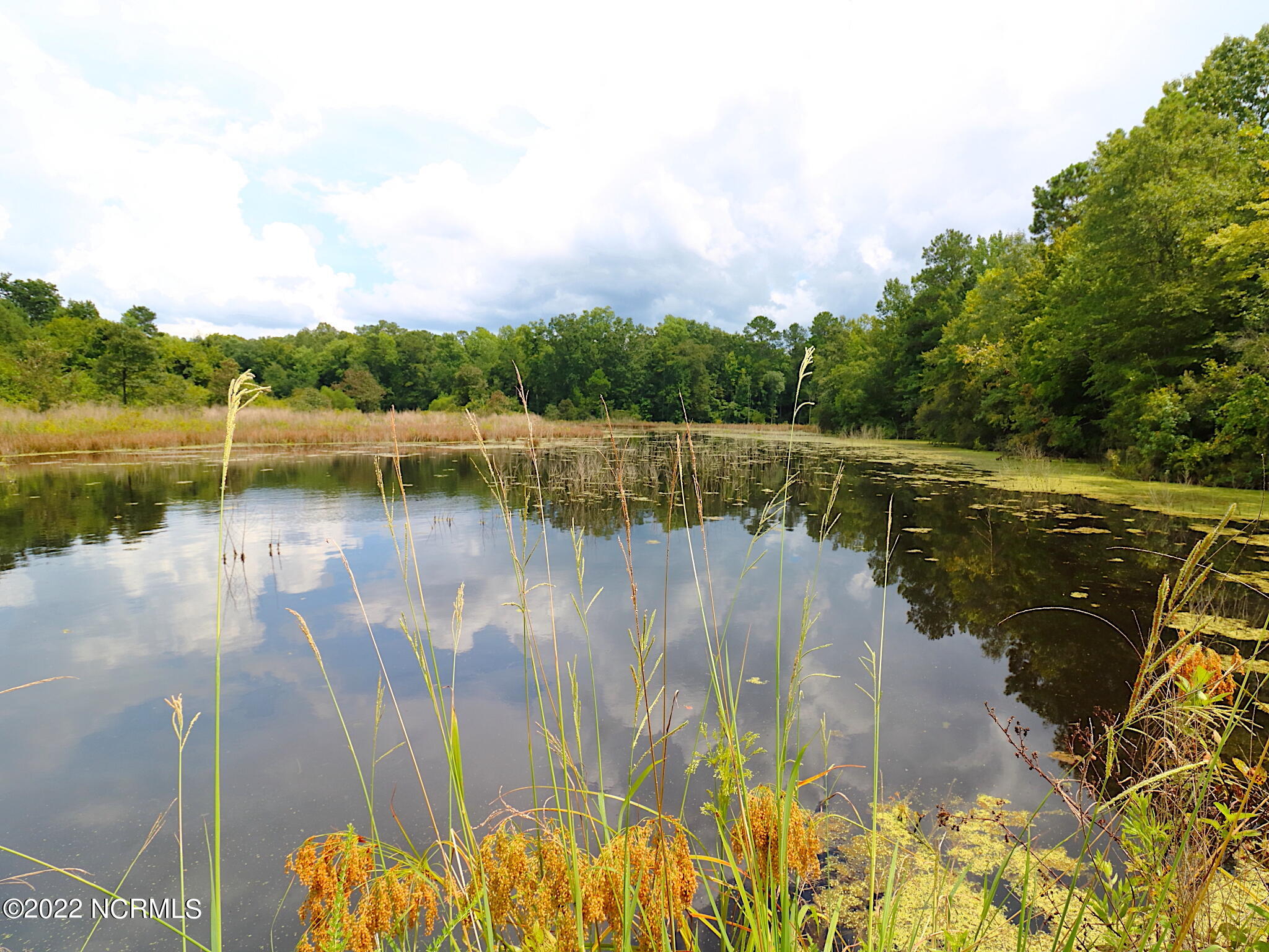 0 Rosindale Road Clarkton, NC 28433 - Photo 17 of 34 014