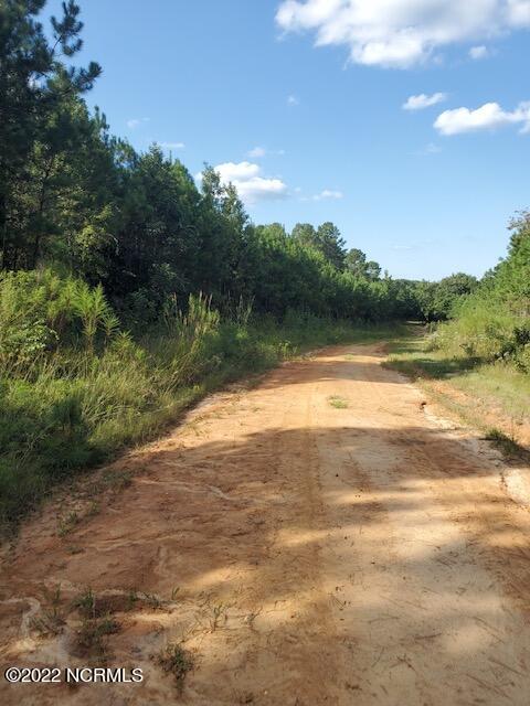 0 Rosindale Road Clarkton, NC 28433 - Photo 7 of 34 image7