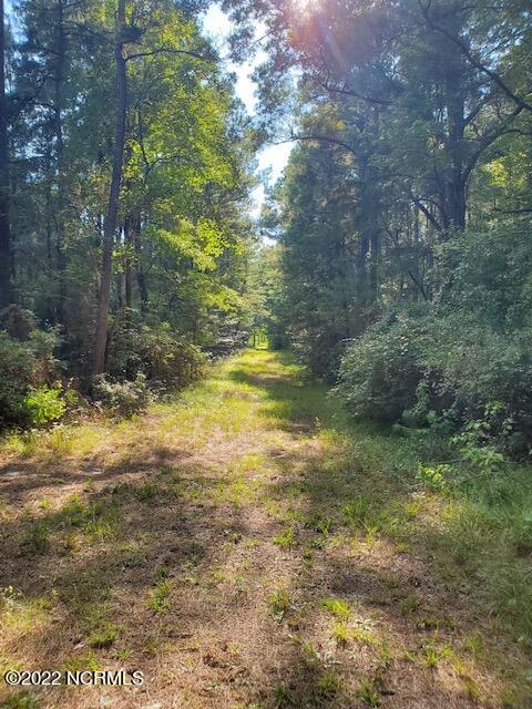 0 Rosindale Road Clarkton, NC 28433 - Photo 8 of 34 image2