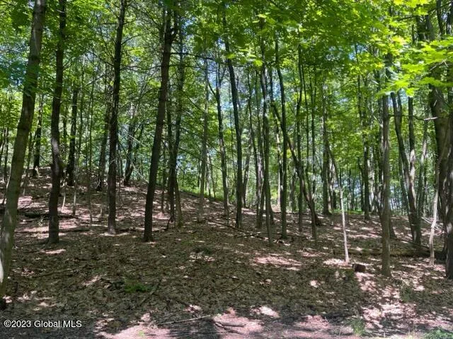 $399,000 | L4.1 L4.1 West Road, Brunswick, NY 12180