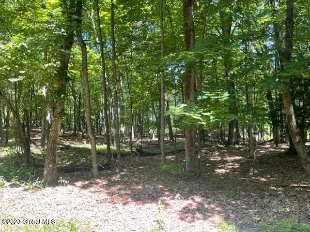 $399,000 | L4.1 L4.1 West Road, Brunswick, NY 12180