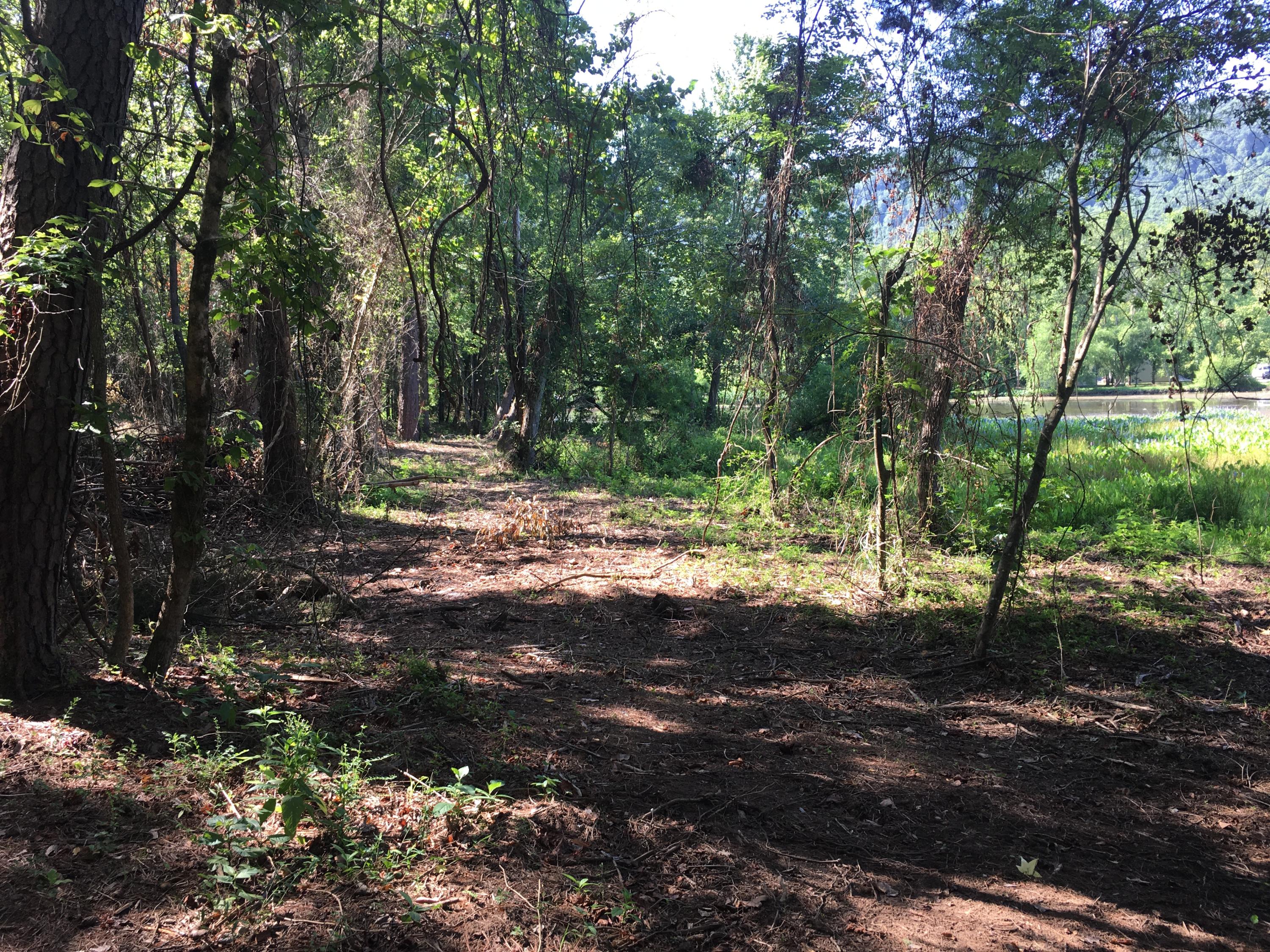 9908 Mullins Cove Road Whitwell, TN 37397 - Photo 12 of 12 View towards water