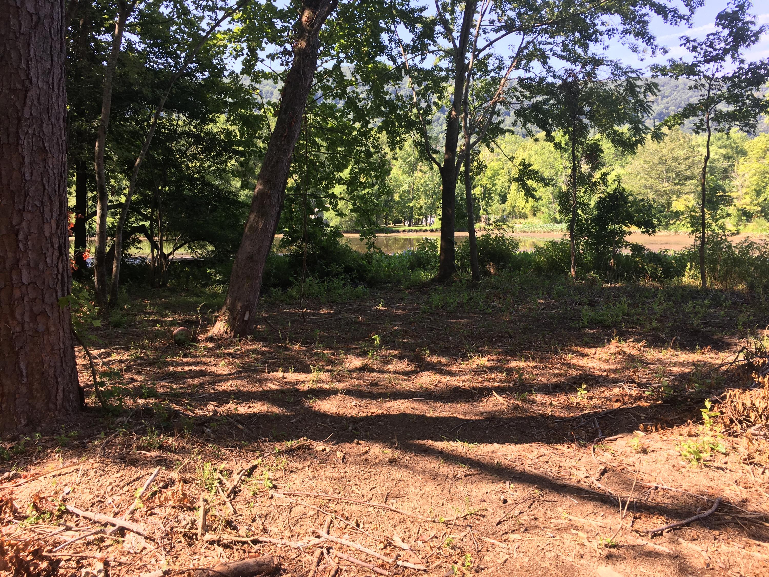 9908 Mullins Cove Road Whitwell, TN 37397 - Photo 4 of 12 another partial view