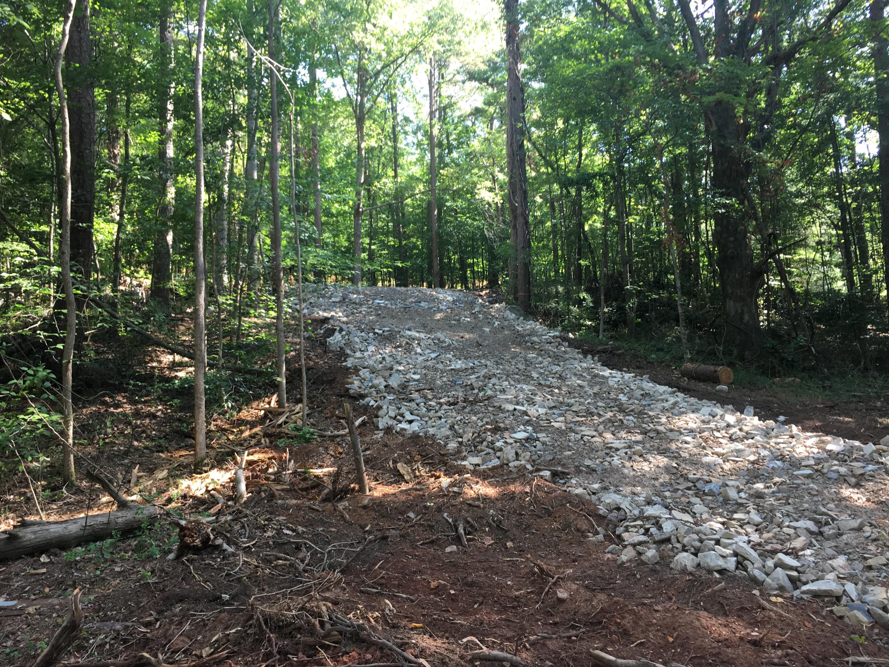 9908 Mullins Cove Road Whitwell, TN 37397 - Photo 7 of 12 driveway to mullins cove road
