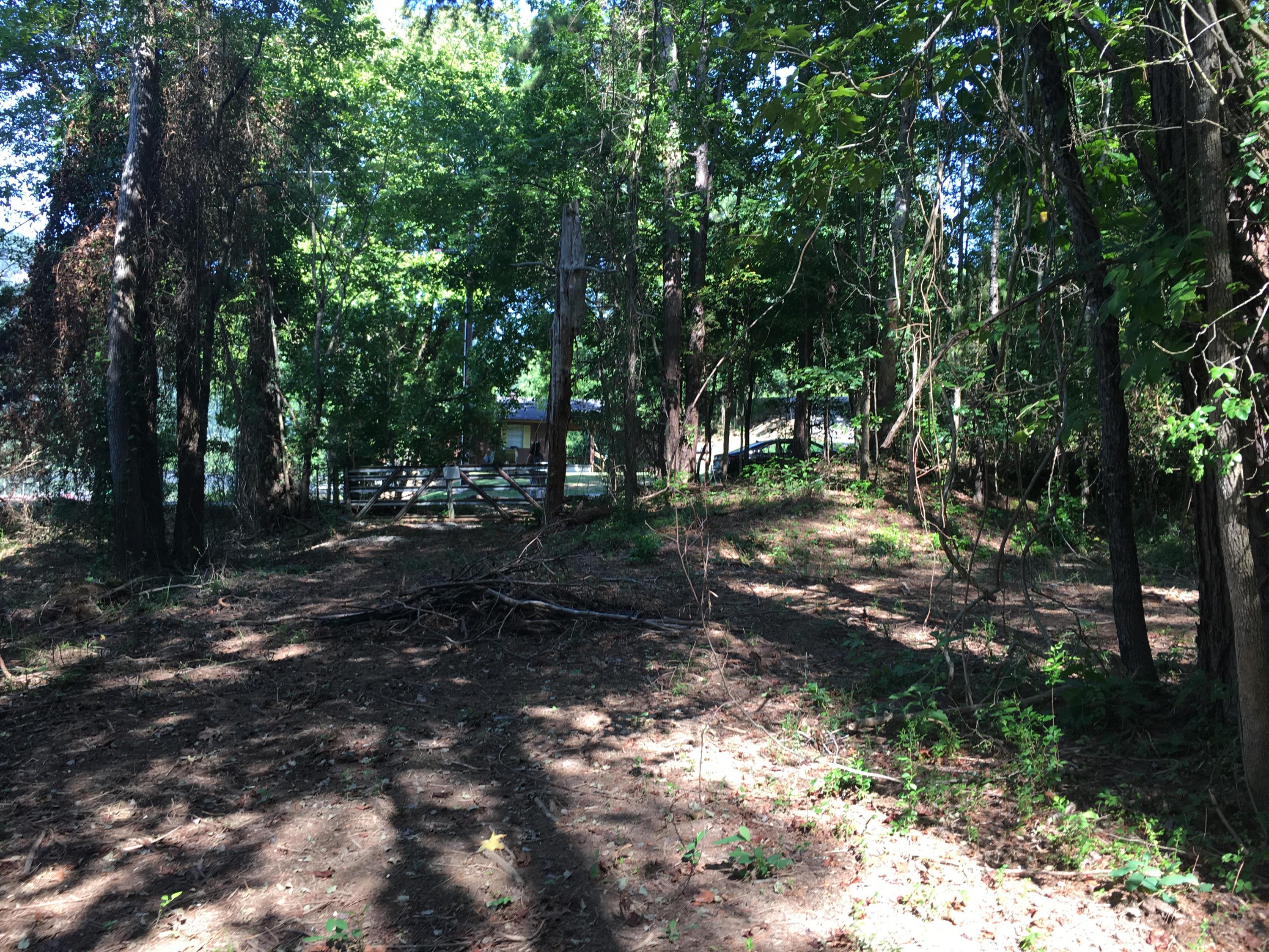 9908 Mullins Cove Road Whitwell, TN 37397 - Photo 10 of 12 View towards road accessing island