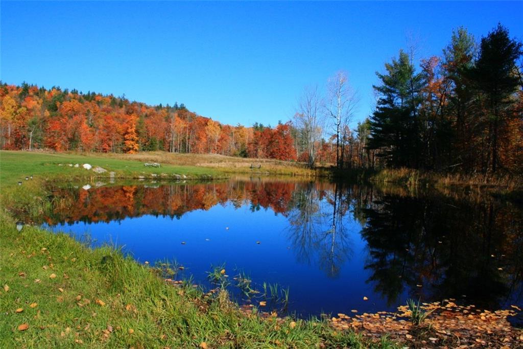 177 Merrill Road Dixfield, ME 04224 - Photo 27 of 28 Enjoy the peace and quiet..