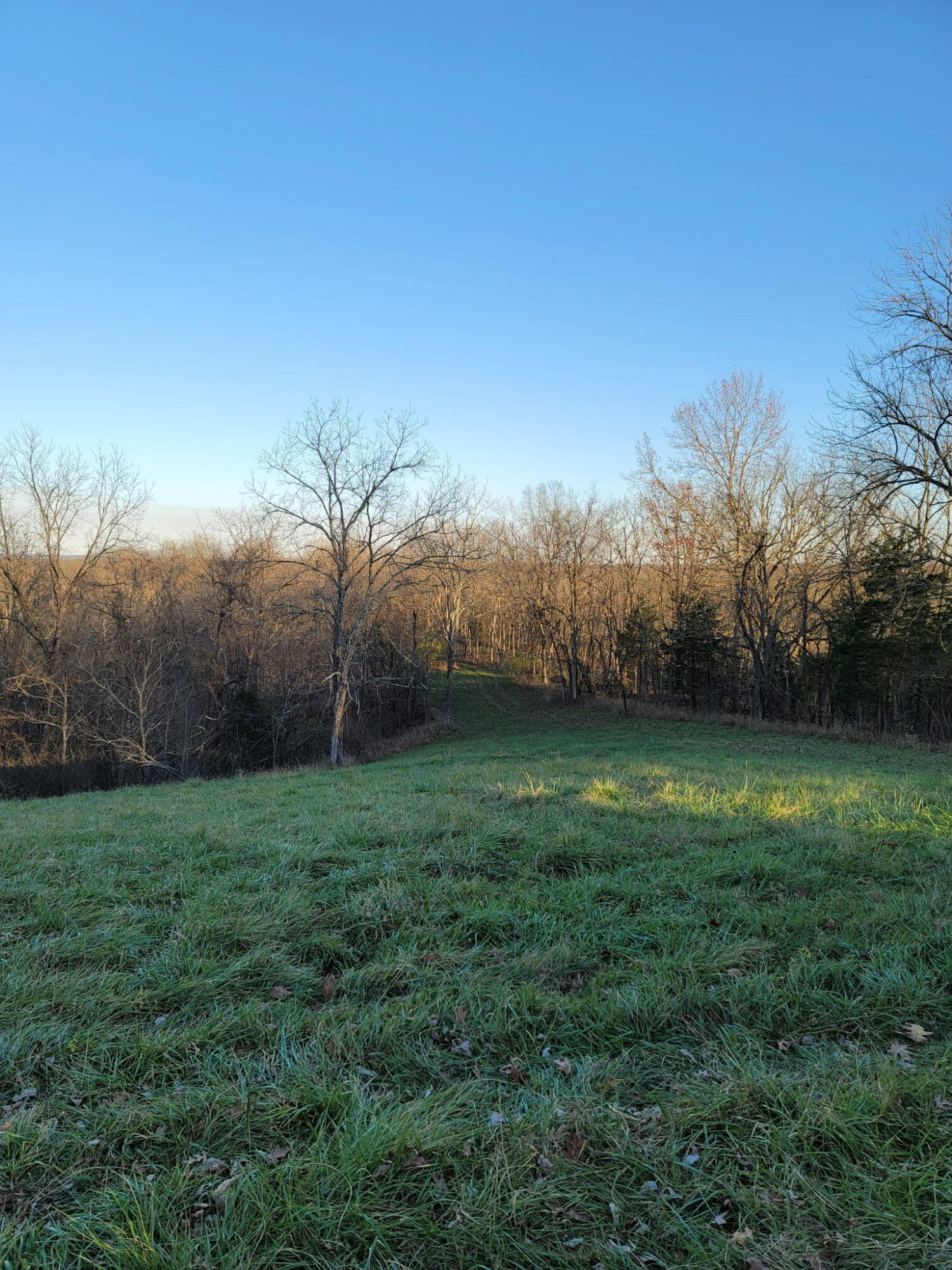 300 Goebel White Road Carlisle, KY 40311 - Photo 1 of 19 2862540720448920092
