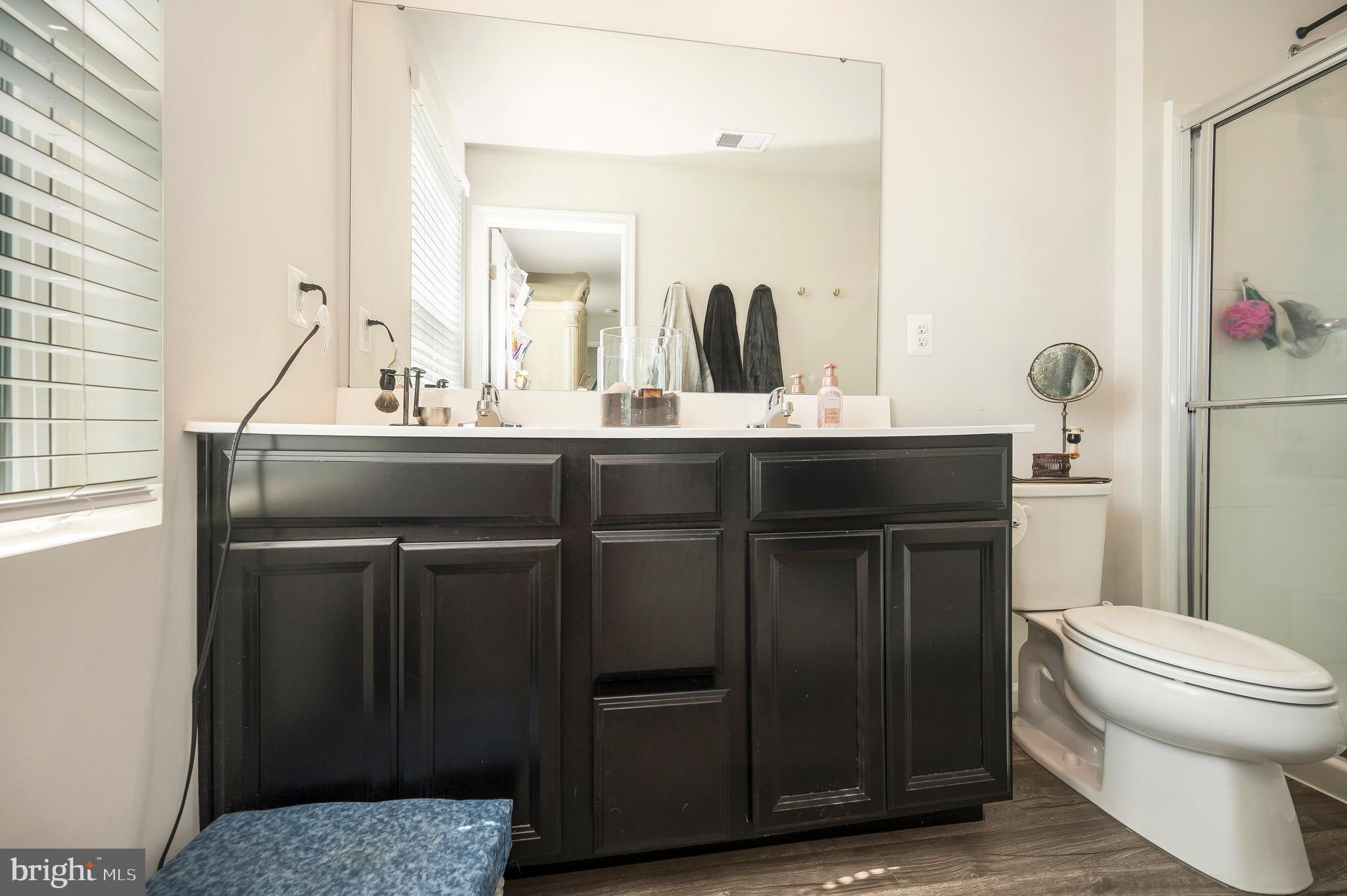 12062 Rundle Crossing King George, VA 22485 - Photo 22 of 67 a bathroom with a sink a toilet and mirror