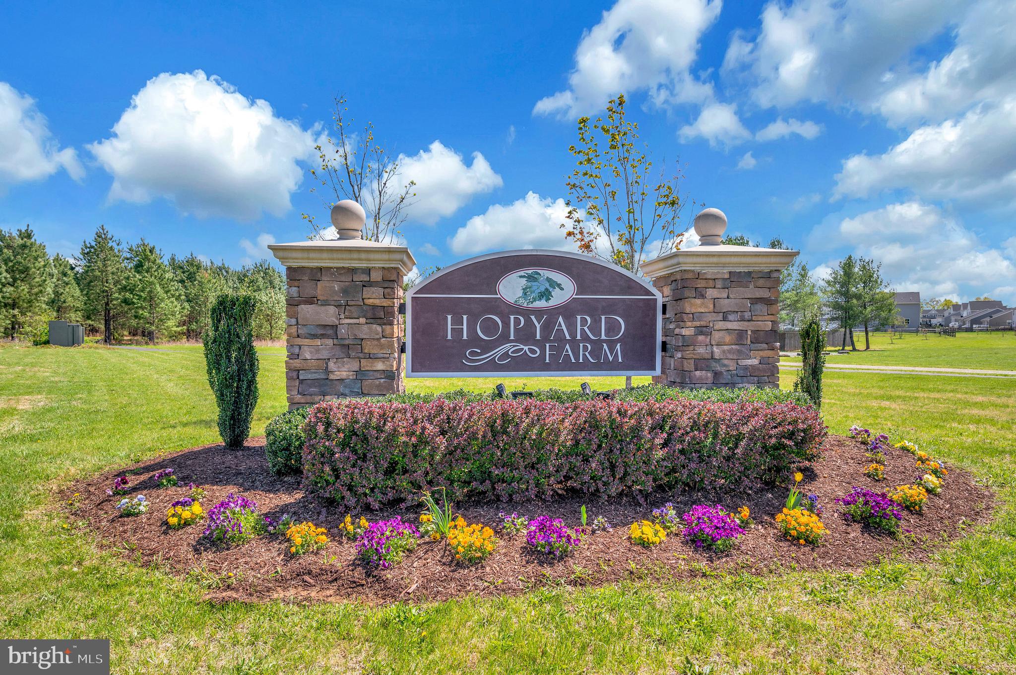 12062 Rundle Crossing King George, VA 22485 - Photo 47 of 67 a view of a bunch of flowers