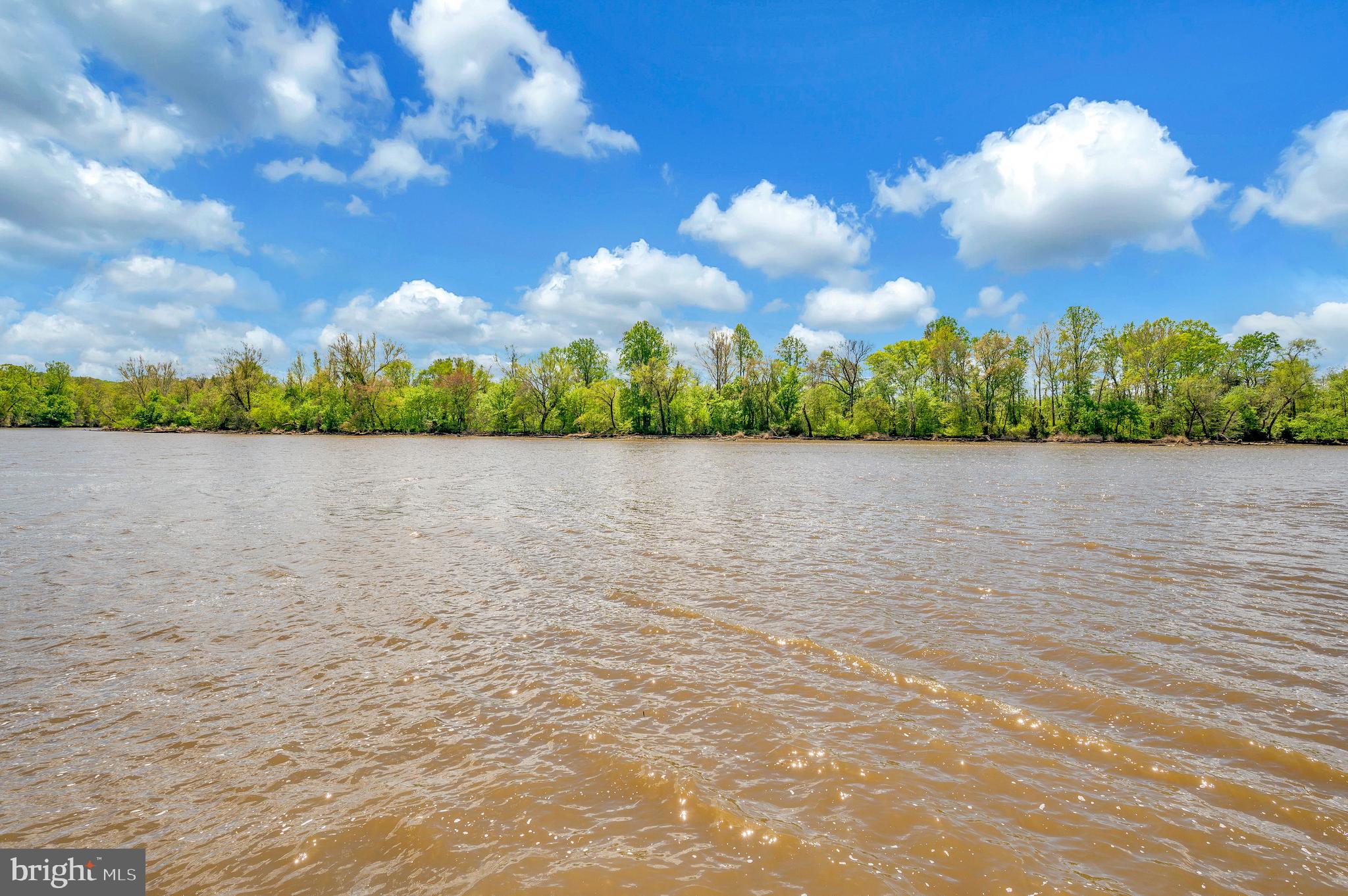 12062 Rundle Crossing King George, VA 22485 - Photo 51 of 67