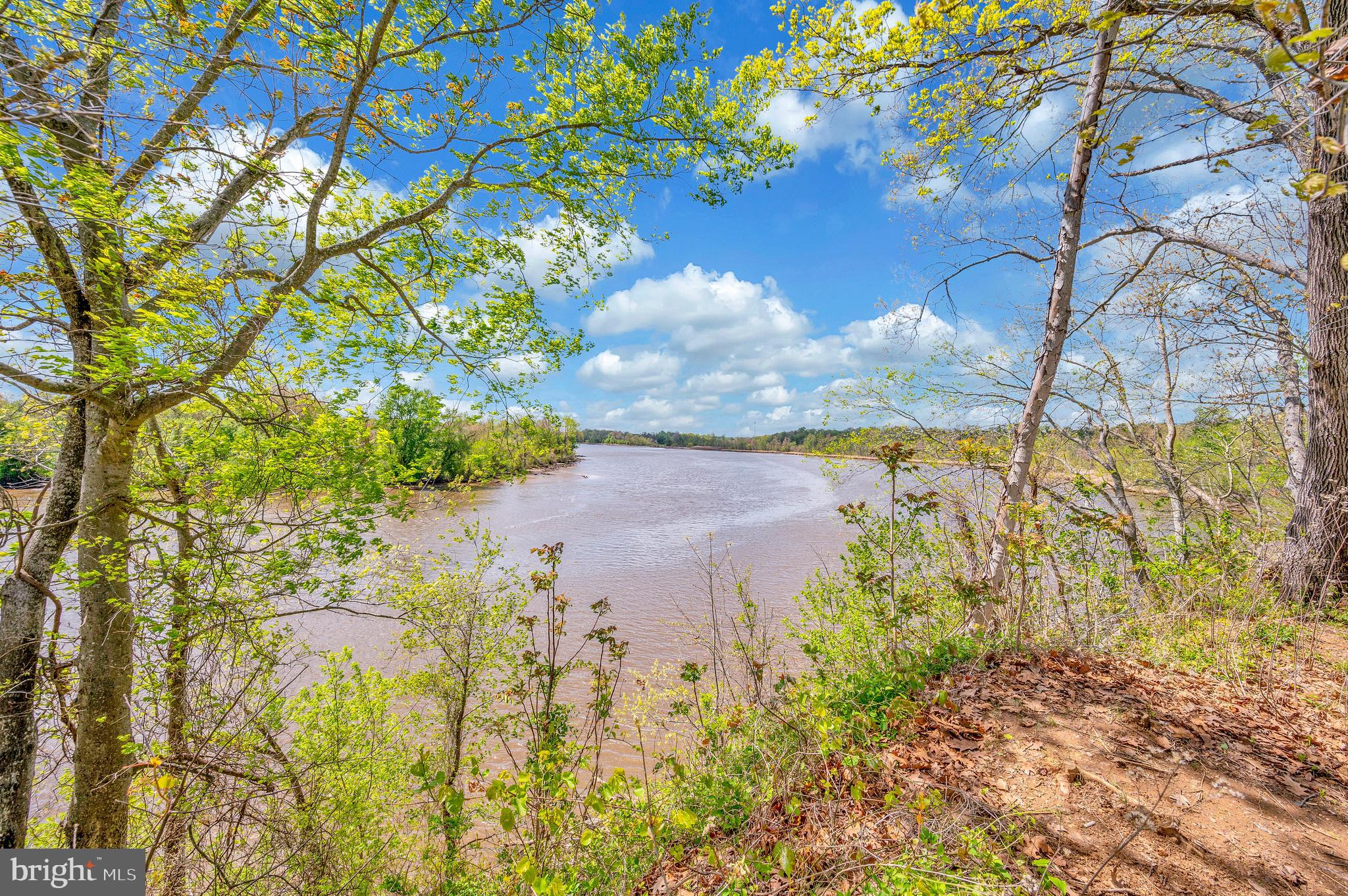 12062 Rundle Crossing King George, VA 22485 - Photo 60 of 67