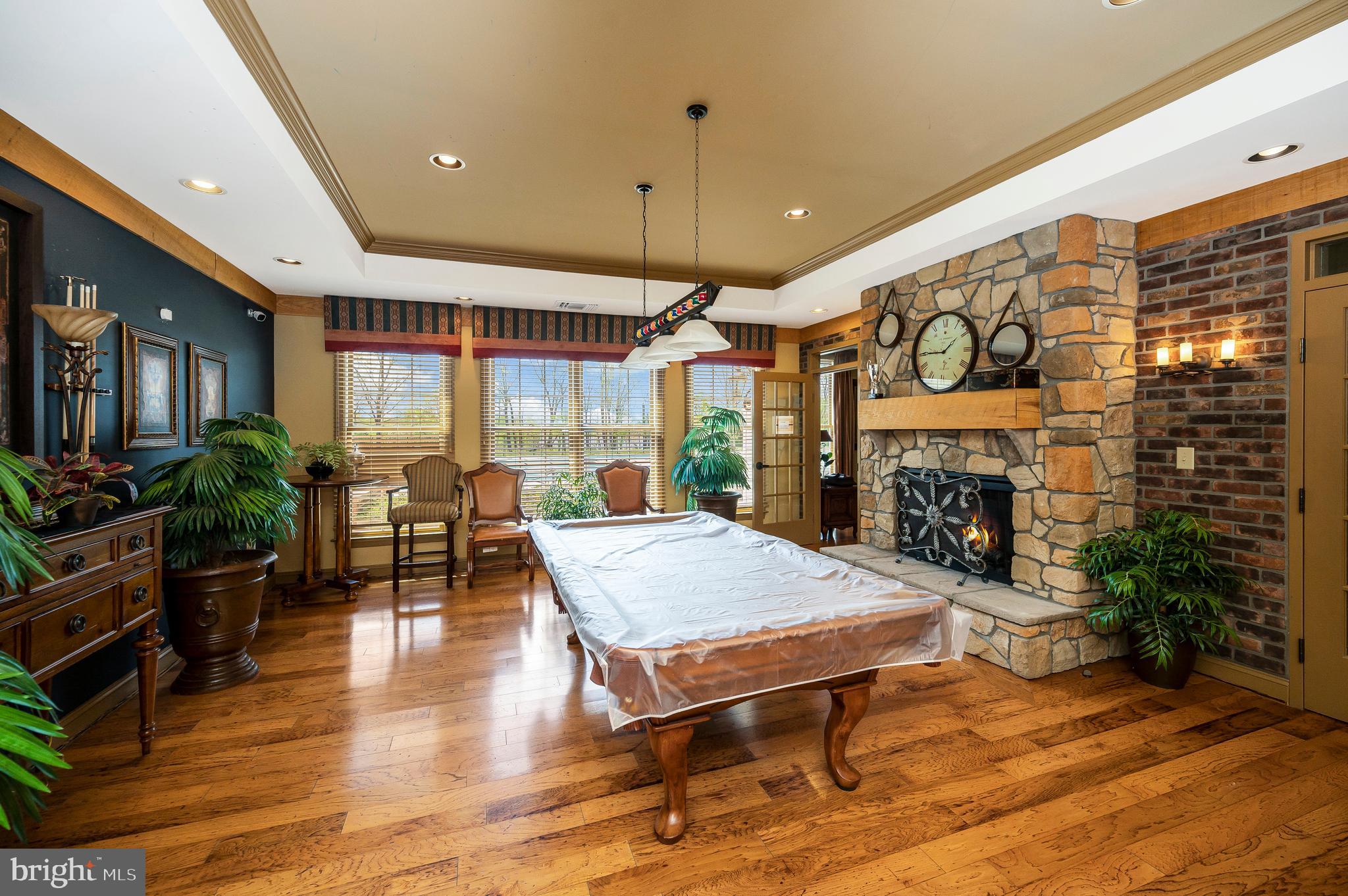 12062 Rundle Crossing King George, VA 22485 - Photo 66 of 67 a living room with furniture a fireplace and a table