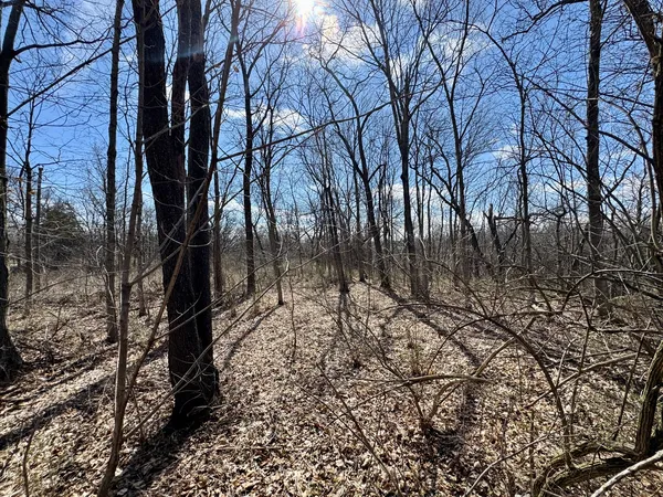 $25,000 | 0 1725 1725 E Street, Tiskilwa, IL 61368