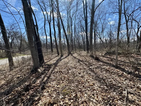 a view of backyard with green space