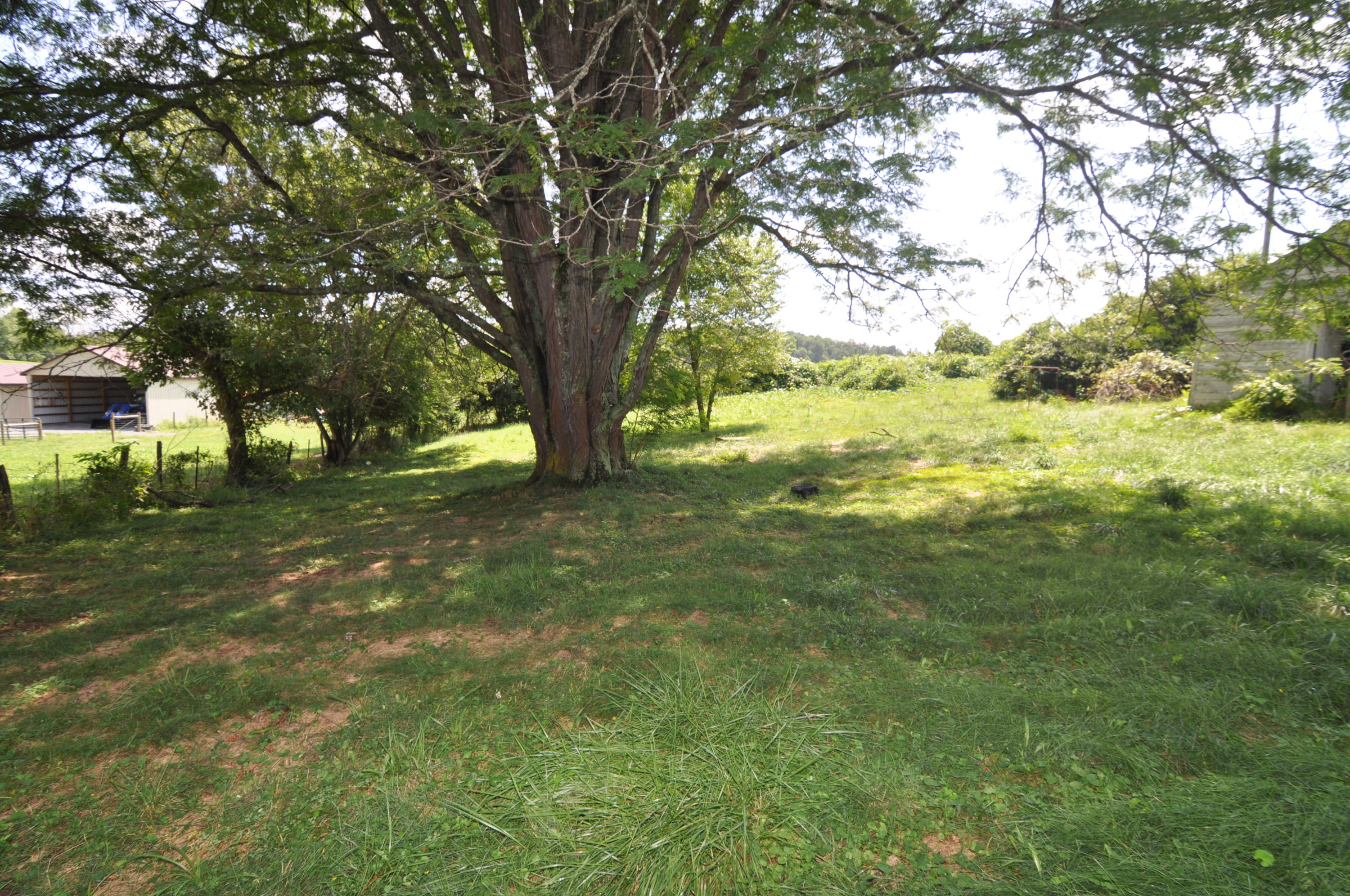 8062 Roanoke Road Fincastle, VA 24090 - Photo 13 of 13 Yard