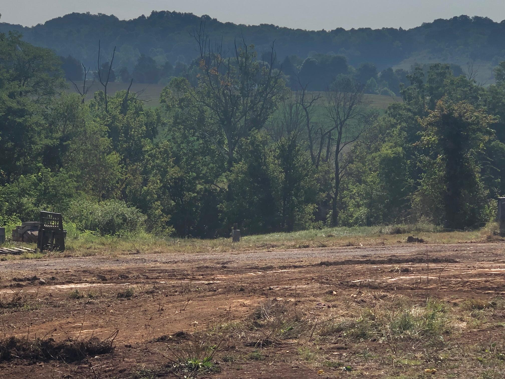 Lot 7 Meadow View Road, Unit 7 Rogersville, TN 37857 - Photo 7 of 10 IMG_6425