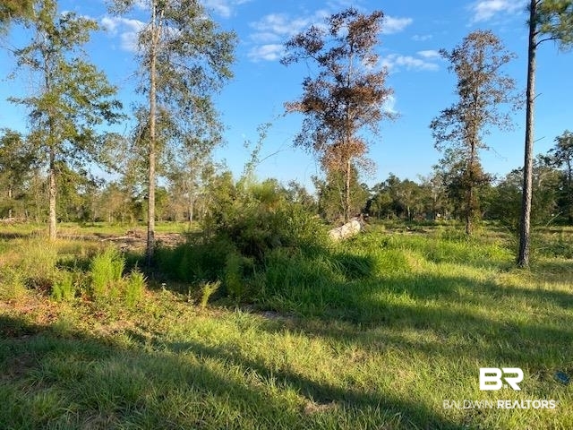 16108 Old Pierce Road Fairhope, AL 36532 - Photo 6 of 14