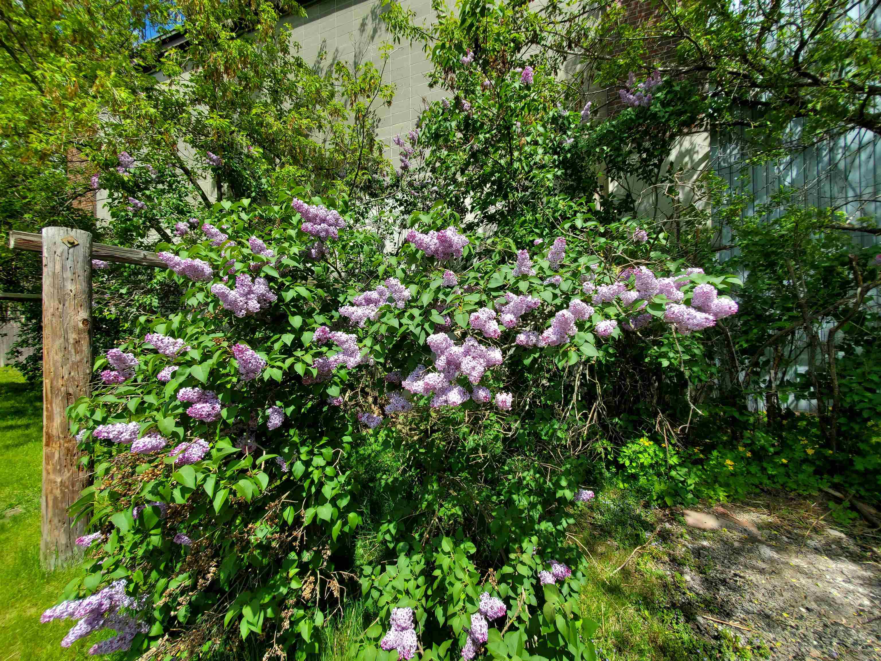 181 Mechanic Street Lebanon, NH 03766 - Photo 5 of 32