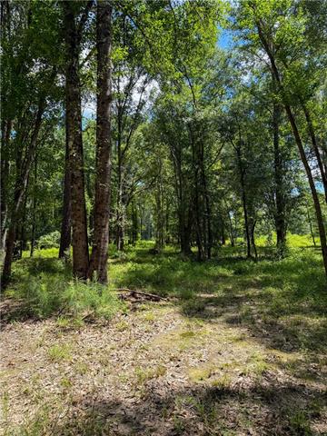 13186 Raehyo Lane Folsom, LA 70437 - Photo 21 of 23