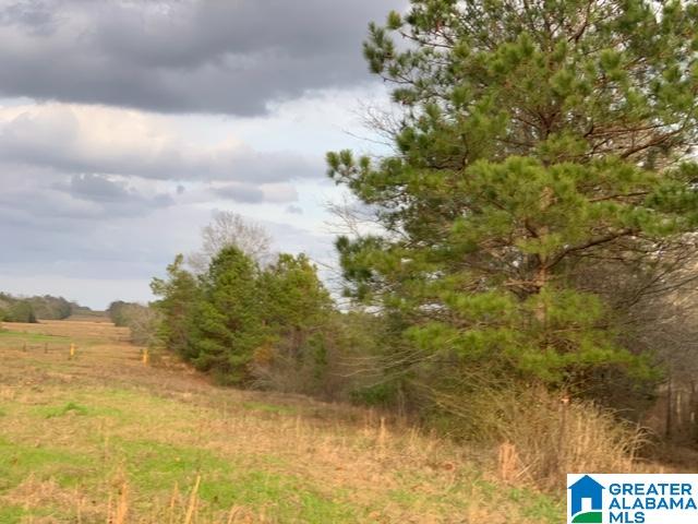 0 County Road 99, Unit 1 Verbena, AL 36091 - Photo 11 of 11