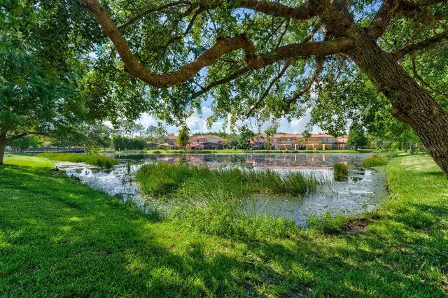 a view of a park with a bench and potted plants