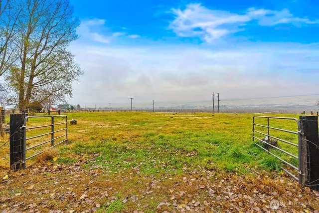a view of a bench in the garden