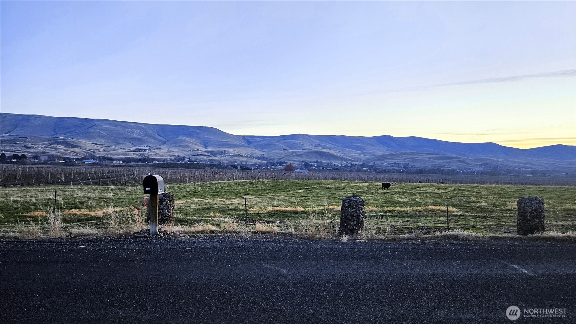 163106 West North River Road Prosser, WA 99350 - Photo 30 of 31 a view of outdoor space and mountain view