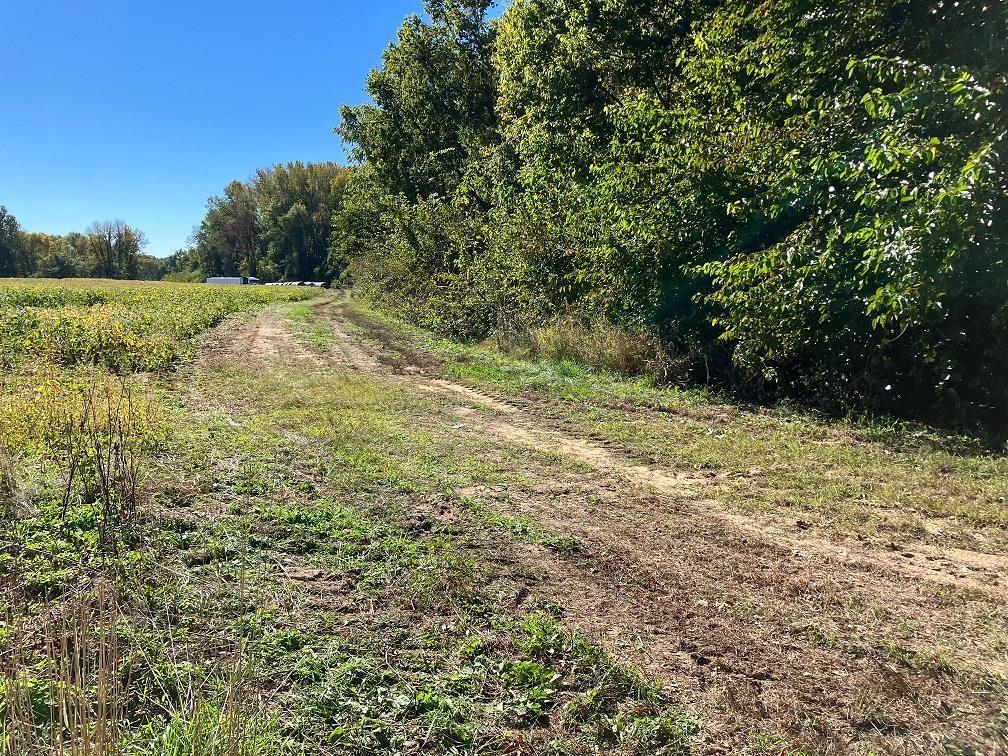 85-acres East Springtown Road Bruceville, IN 47516 - Photo 5 of 5 Gallery Image 5