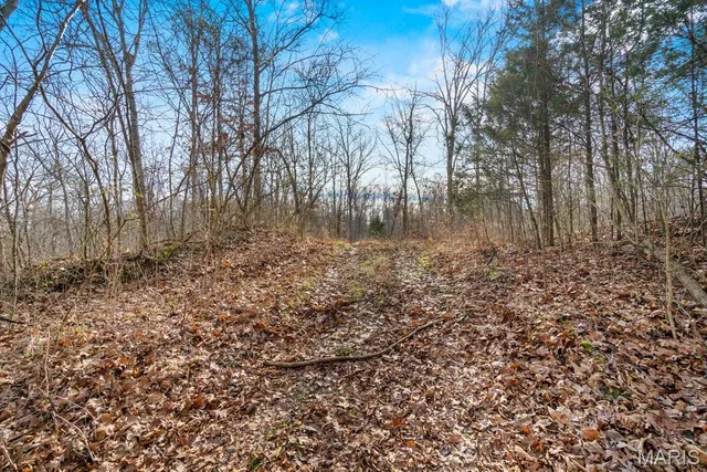 $1,200,000 | 555 Morning Star Circle, Perryville, MO 63775