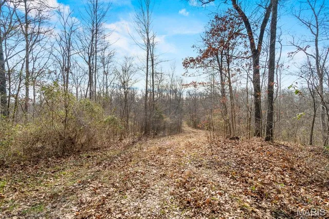 $1,200,000 | 555 Morning Star Circle, Perryville, MO 63775