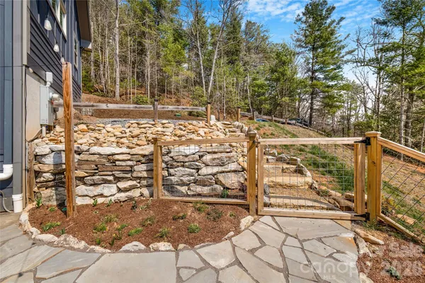 a view of a lot of trees