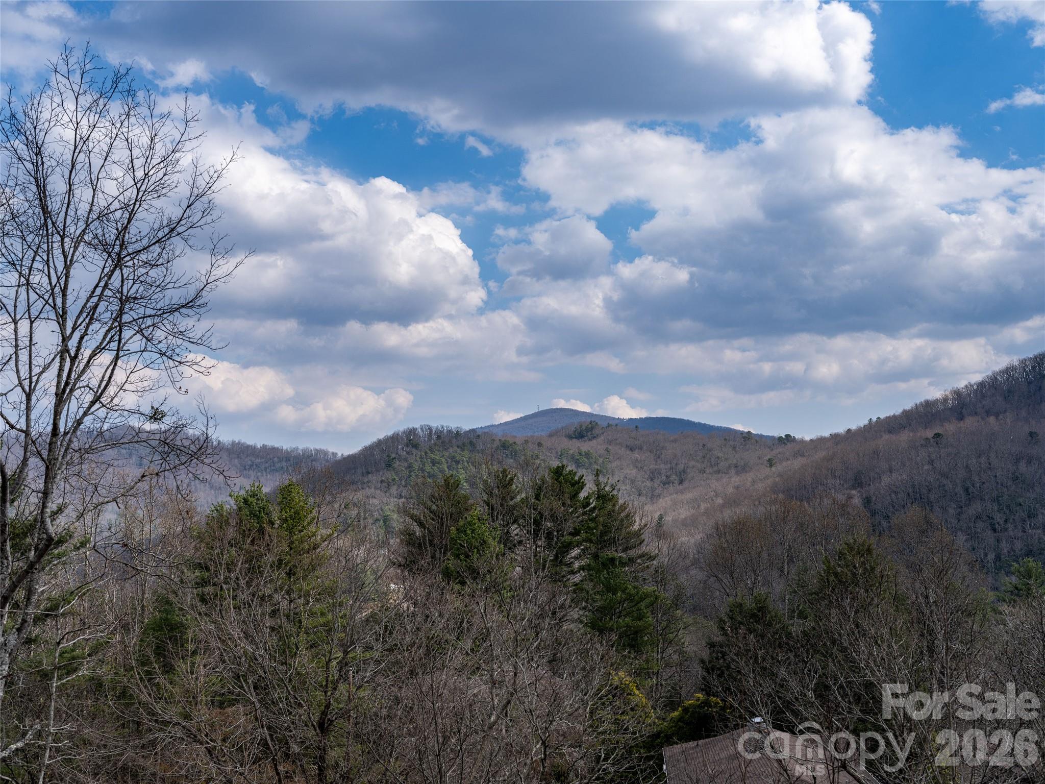 54 Weldon Way Fairview, NC 28730 - Photo 43 of 47 a view of a lot of trees